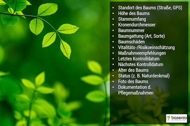 Die Angaben sind nicht verbindlich vorgeschrieben, verstehen sich aber als Empfehlung. Baumkataster